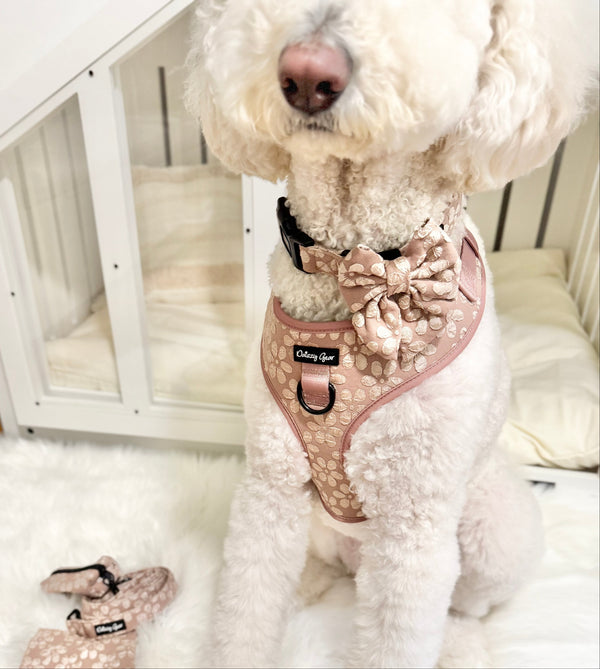 White dog wearing a pink floral harness with a matching bow tie, standing on a fluffy white rug.