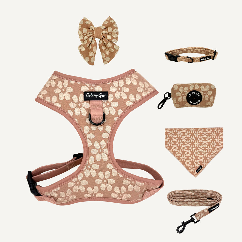 Dog accessory set including a harness, collar, leash, bandana, and bow tie with paw print pattern on a white background.