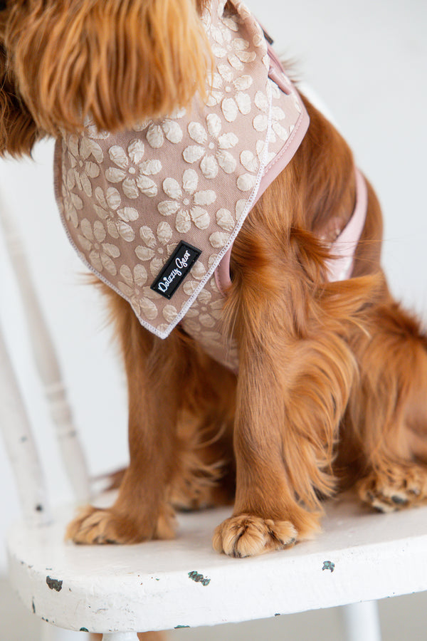 Dog wearing a patterned bandana with a brand logo on a white chair.
