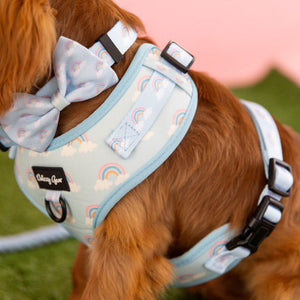 Dog wearing a light blue harness with rainbow and cloud patterns on a grassy background