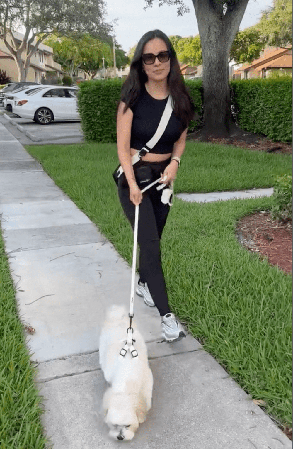 Cream Petite Amour Dog Mom Twinning Bundle ( Dog Walking Set + Matching Bag) - Daizzy Gear - Stylish Accessories for Dogs