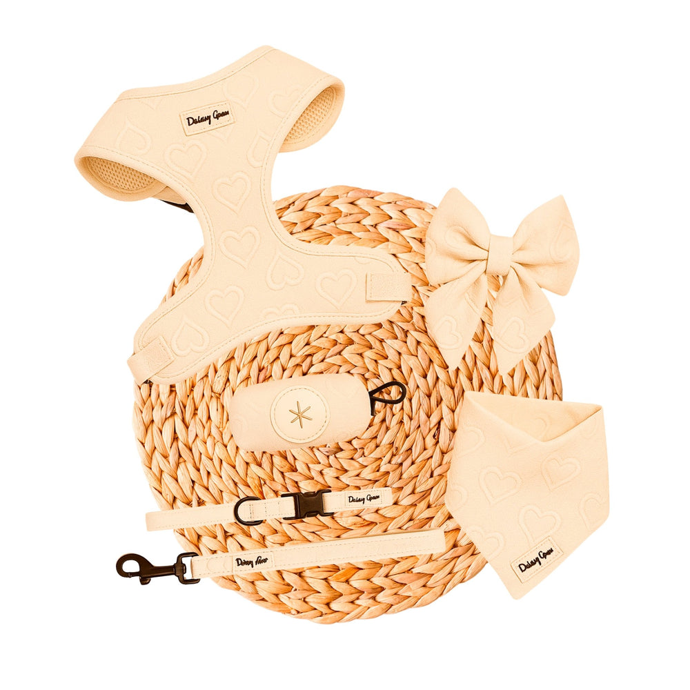 Cream Petite Amour Dog Mom Twinning Bundle ( Dog Walking Set + Matching Bag) - Daizzy Gear - Stylish Accessories for Dogs