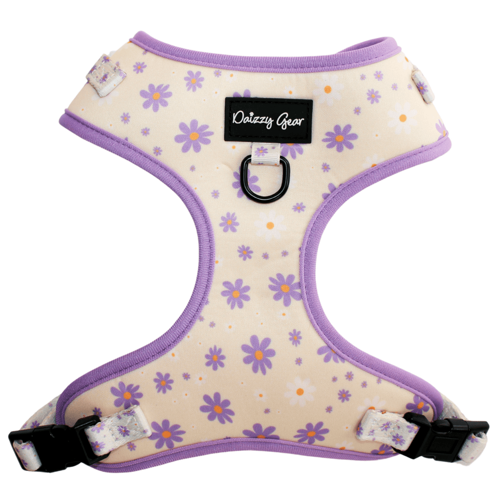 Daisy Dreams Purple Dog Mom Twinning Bundle ( Dog Walking Set + Matching Bag) - Daizzy Gear - Stylish Accessories for Dogs