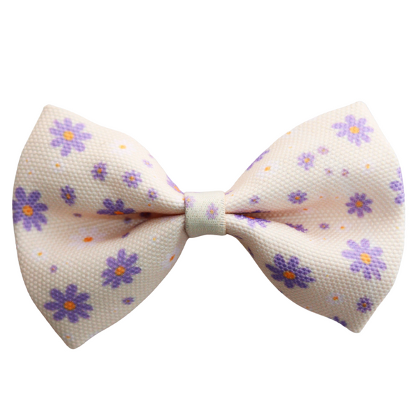 Daisy Dreams Dog Harness Matching Walking Set