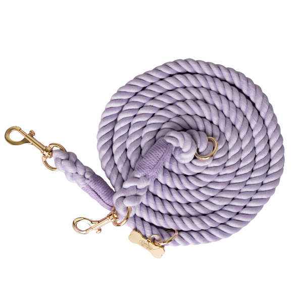 Purple Daisy Dreams Dog Walking Matching Set with Rope Leash