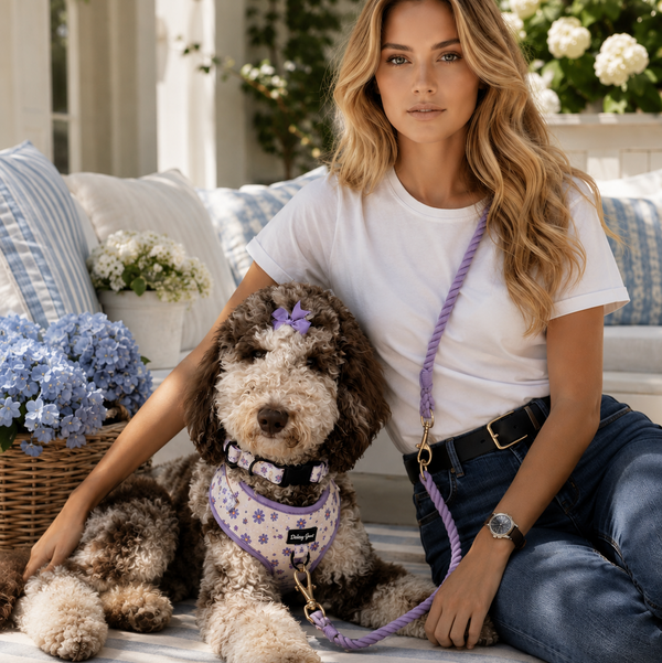 Woman sitting on a striped blanket with a dog wearing a purple outfit, surrounded by flowers and outdoor furniture.