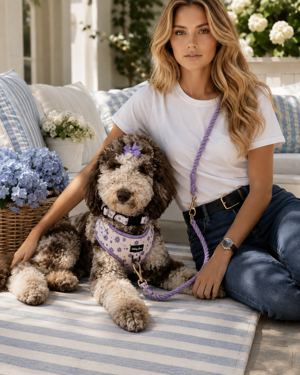 Woman sitting on a striped blanket with a dog wearing a purple outfit, surrounded by flowers and outdoor furniture.