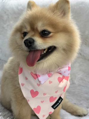 Blushing Love Dog Harness Matching Walking Set