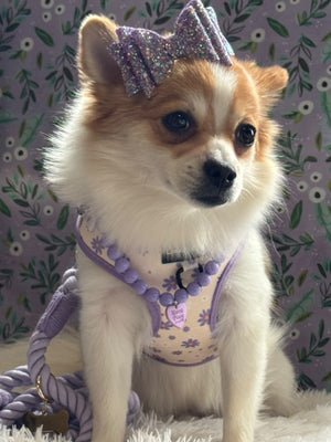 Daisy Dreams Dog Harness Matching Walking Set