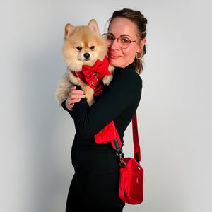 Woman holding a small dog wearing a red bow tie with a red handbag on a white background