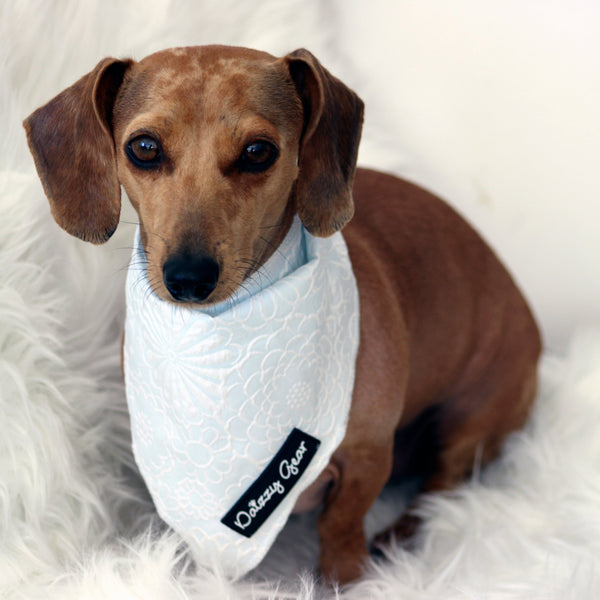 Divine Petals Blue Dog Harness Matching Walking Set - Daizzy Gear - Stylish Accessories for Dogs