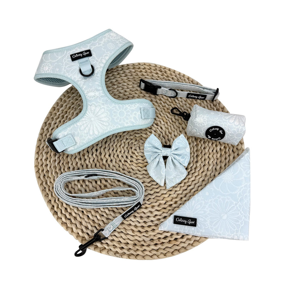 Divine Petals Blue Dog Mom Twinning Bundle ( Dog Walking Set + Matching Bag) - Daizzy Gear - Stylish Accessories for Dogs