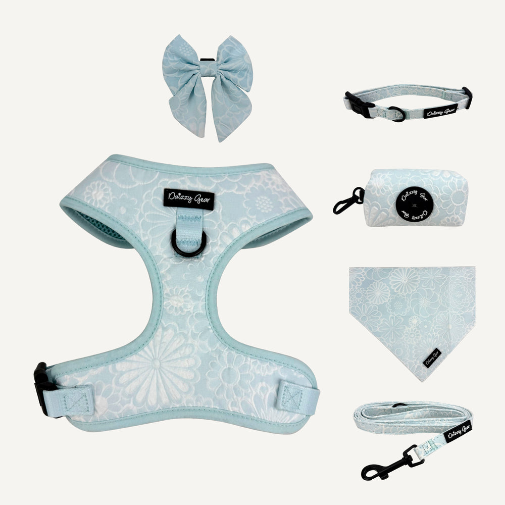 Collection of light blue pet accessories including a harness, collar, leash, bandana, and bow tie on a white background.