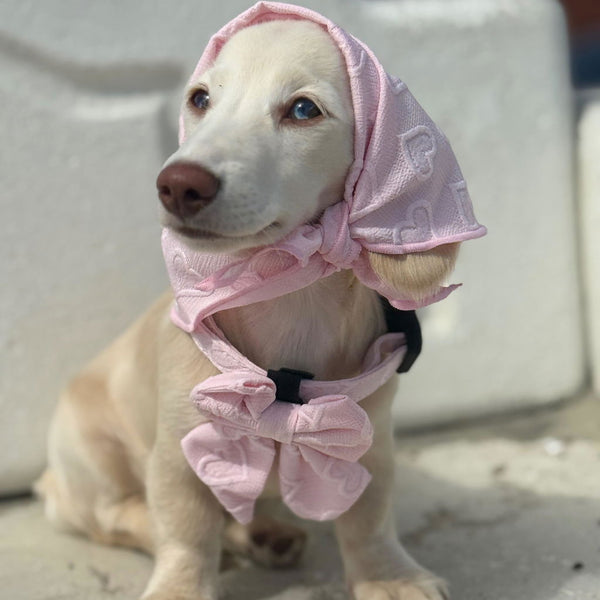 A light cream-colored puppy wearing a pink fabric headband and matching bow harness, sitting on a concrete surface.