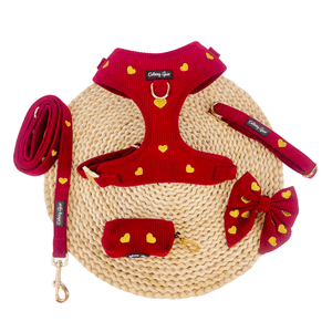 Fur Ever Love Dog Walking Matching Set – Limited Edition - Daizzy Gear - Stylish Accessories for Dogs