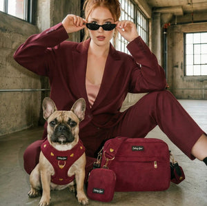 Fur Ever Love Dog Walking Combo ( Dog Matching Set + Matching Crossbody Bag ) - Daizzy Gear - Stylish Accessories for Dogs
