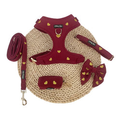 Dog harness, leash, and bow tie set with heart patterns on a white background