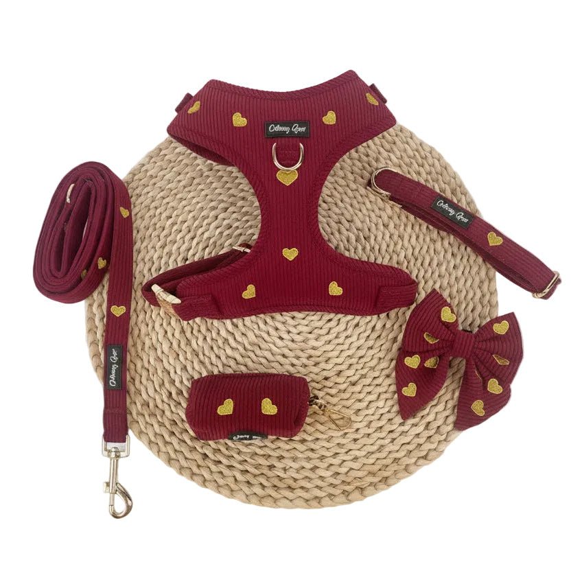 Dog harness, leash, and bow tie set with heart patterns on a white background