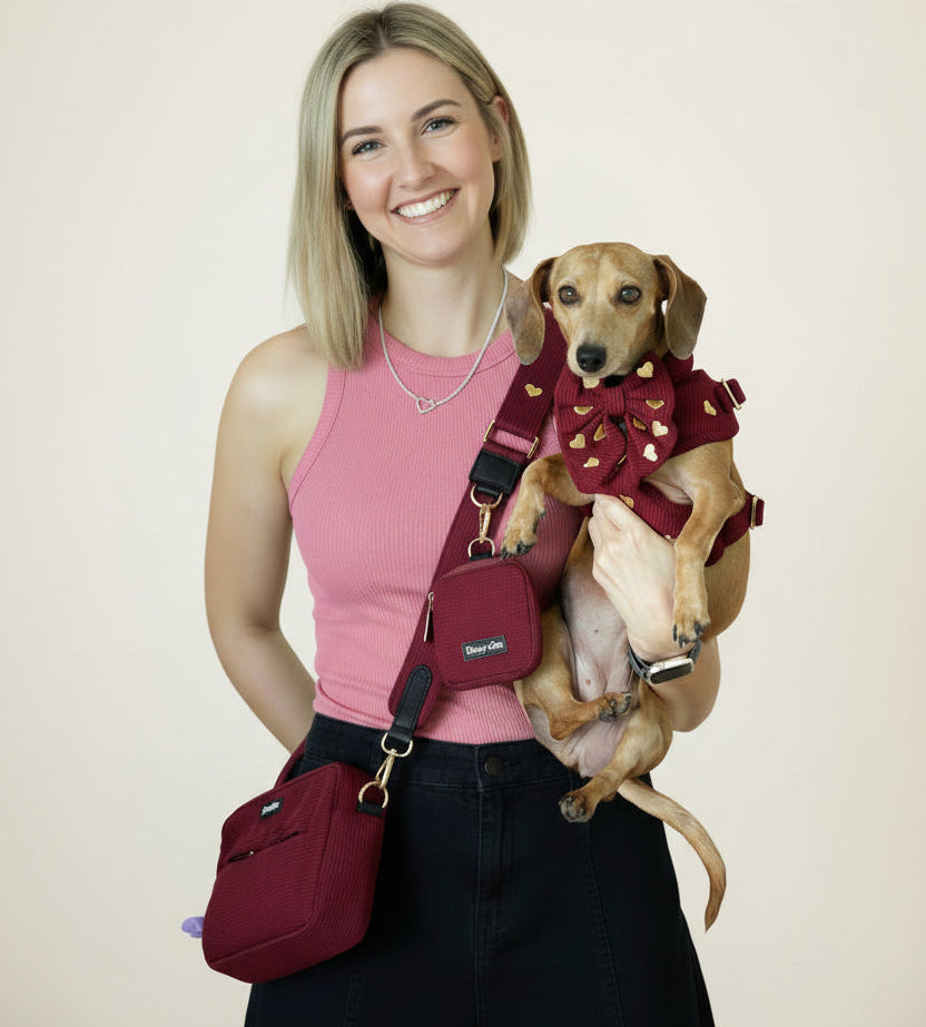 Woman holding a dog in a red outfit with a matching bag against a gray background