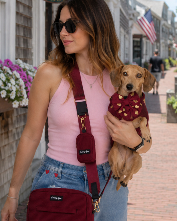 A woman wearing a pink top and jeans carries a small dachshund dog wearing a burgundy sweater with gold stars. She is walking on a brick street next to a shop with a hanging 'Nantucket Bookworks' sign, while wearing a matching burgundy crossbody bag.