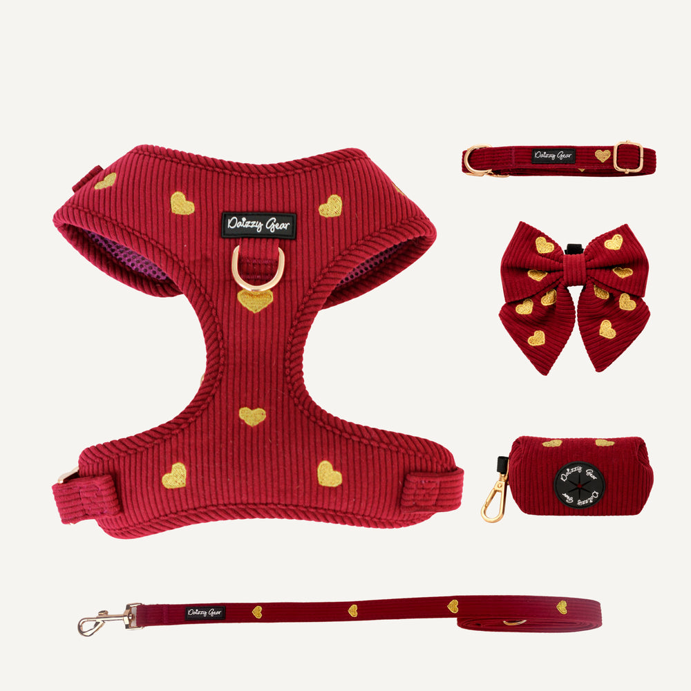 Red pet harness, collar, bow tie, and pouch with gold heart patterns on a white background.