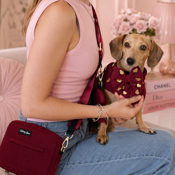 A woman in a pink tank top and jeans holds a small tan dachshund wearing a burgundy corduroy pet jacket with gold bow details. A matching burgundy crossbody bag with a visible 'Chicory Lane' label rests on her shoulder.
