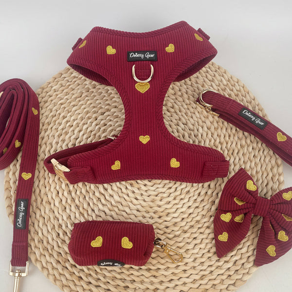 Burgundy Fur Ever Love Mom & Pup Matching Bundle