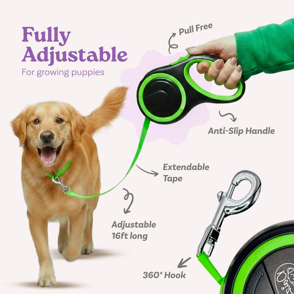 Green Retractable Dog Walking Leash (Up to 44 lbs) - Daizzy Gear - Stylish Accessories for Dogs