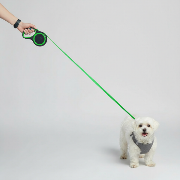 Retractable Green Dog Walking Leash