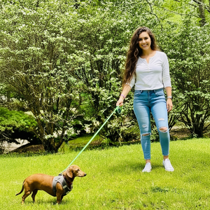 Retractable Green Dog Walking Leash