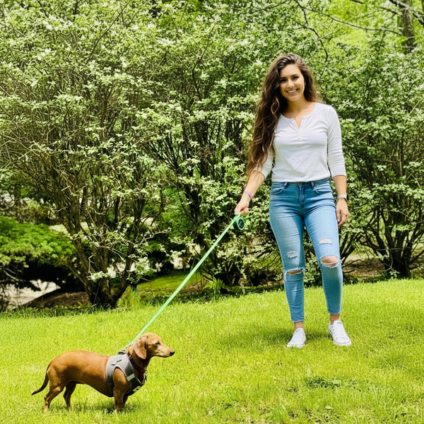 Retractable Green Dog Walking Leash