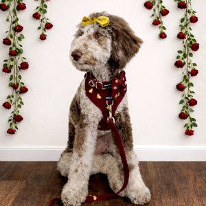Burgundy Fur Ever Love Mom & Pup Matching Bundle