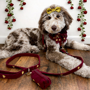 Burgundy Fur Ever Love Mom & Pup Matching Bundle