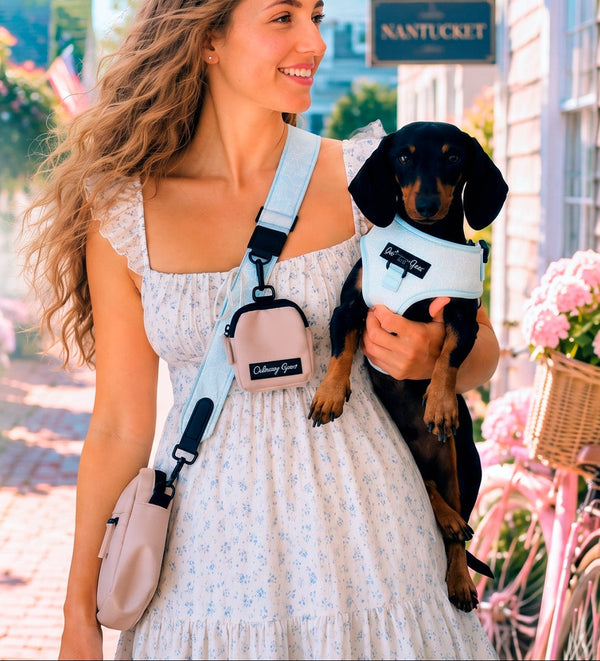 A woman in a white floral dress carries a small black-and-tan dachshund wearing a light blue pet harness. The woman is also wearing a matching light blue crossbody bag and a pale pink pouch bag with a visible 'Culinary Gear' brand label.