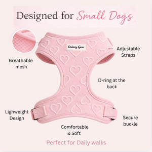 Pink Petite Amour Dog Mom Twinning Bundle ( dog walking set + matching bag)