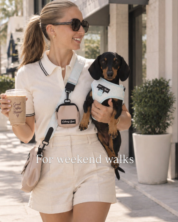 Divine Petals Blue Dog Walking Bag with Treat Pouch