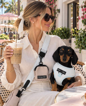 Divine Petals Blue Dog Walking Bag with Treat Pouch