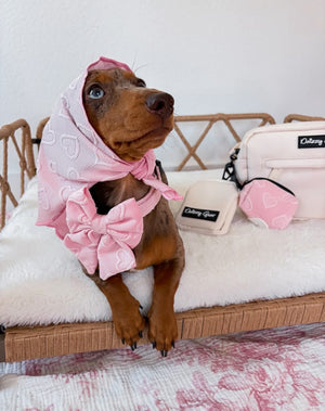 A small brown dog wearing a pink patterned headscarf and matching bow, posed on a white cushioned rattan bed with pink and cream accessories nearby. The dog is the main subject, making this a Lifestyle image.