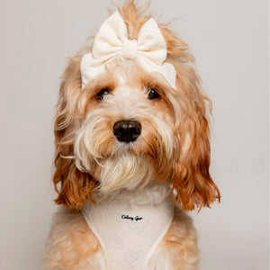 Ivory Deluxe 6-Piece Dog Matching Set- Petite Amour