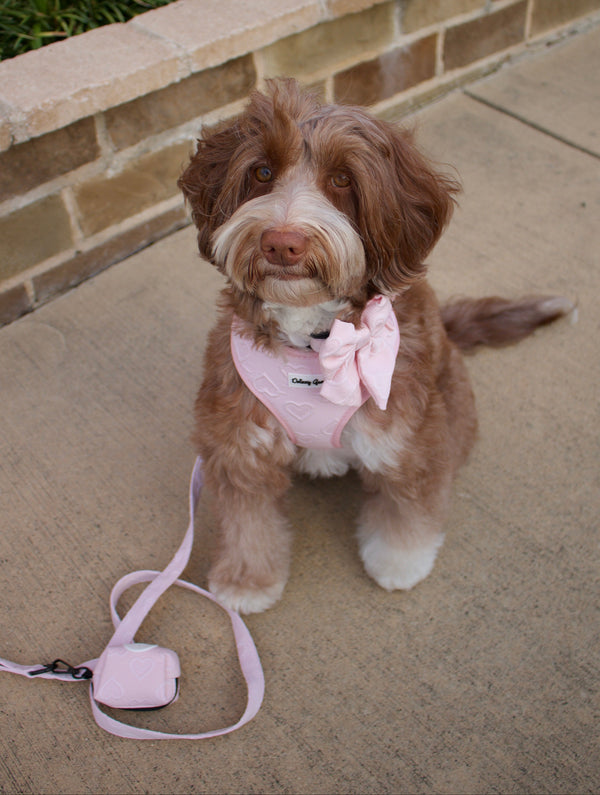 Petite Amour Pink Dog Harness Matching Walking Set