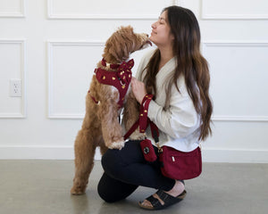 Woman holding a dog in a room with white paneled walls