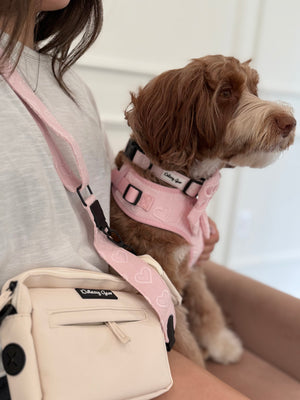 Pink Petite Amour Matching Set + Matching Bag