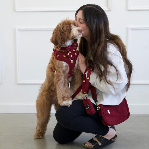 a cute dog wearing a coordinated matching set with her dog mom