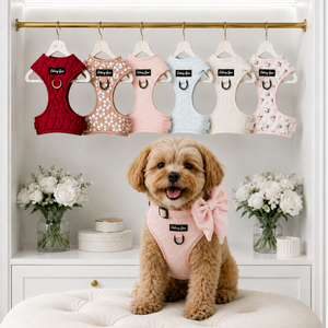 A small tan dog wearing a pink harness with a large bow sits on a cream tufted bench in front of a white cabinet. Above the bench, six pet harnesses in red, beige, pink, light blue, white, and floral print hang on a gold rod.