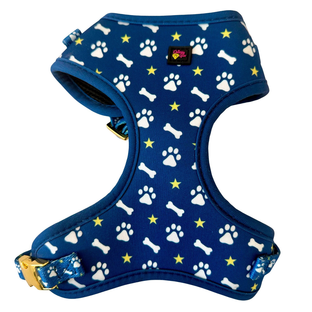 Blue Paws & Bones Dog Harness Matching Walking Set - Daizzy Gear - Stylish Accessories for Dogs