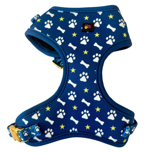 Blue Paws & Bones Dog Harness Matching Walking Set - Daizzy Gear - Stylish Accessories for Dogs
