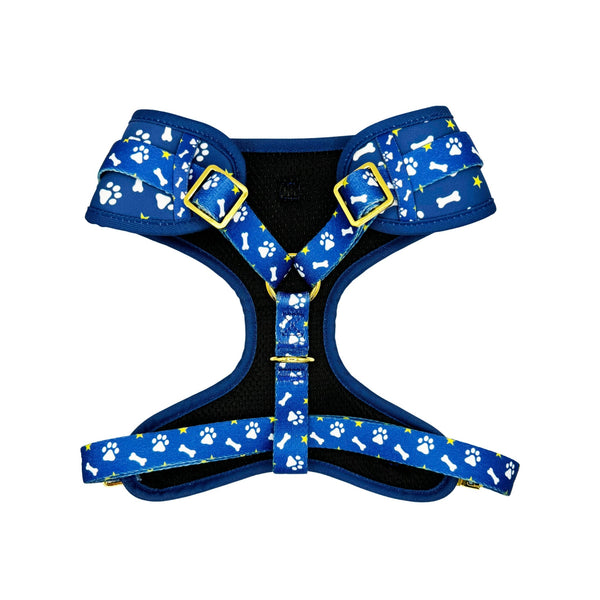 Blue Paws & Bones Dog Harness Matching Walking Set - Daizzy Gear - Stylish Accessories for Dogs