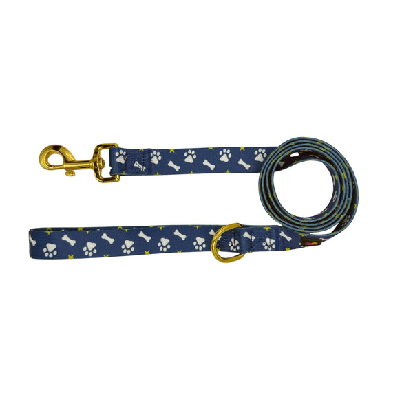 Blue Paws & Bones Dog Harness Matching Walking Set - Daizzy Gear - Stylish Accessories for Dogs