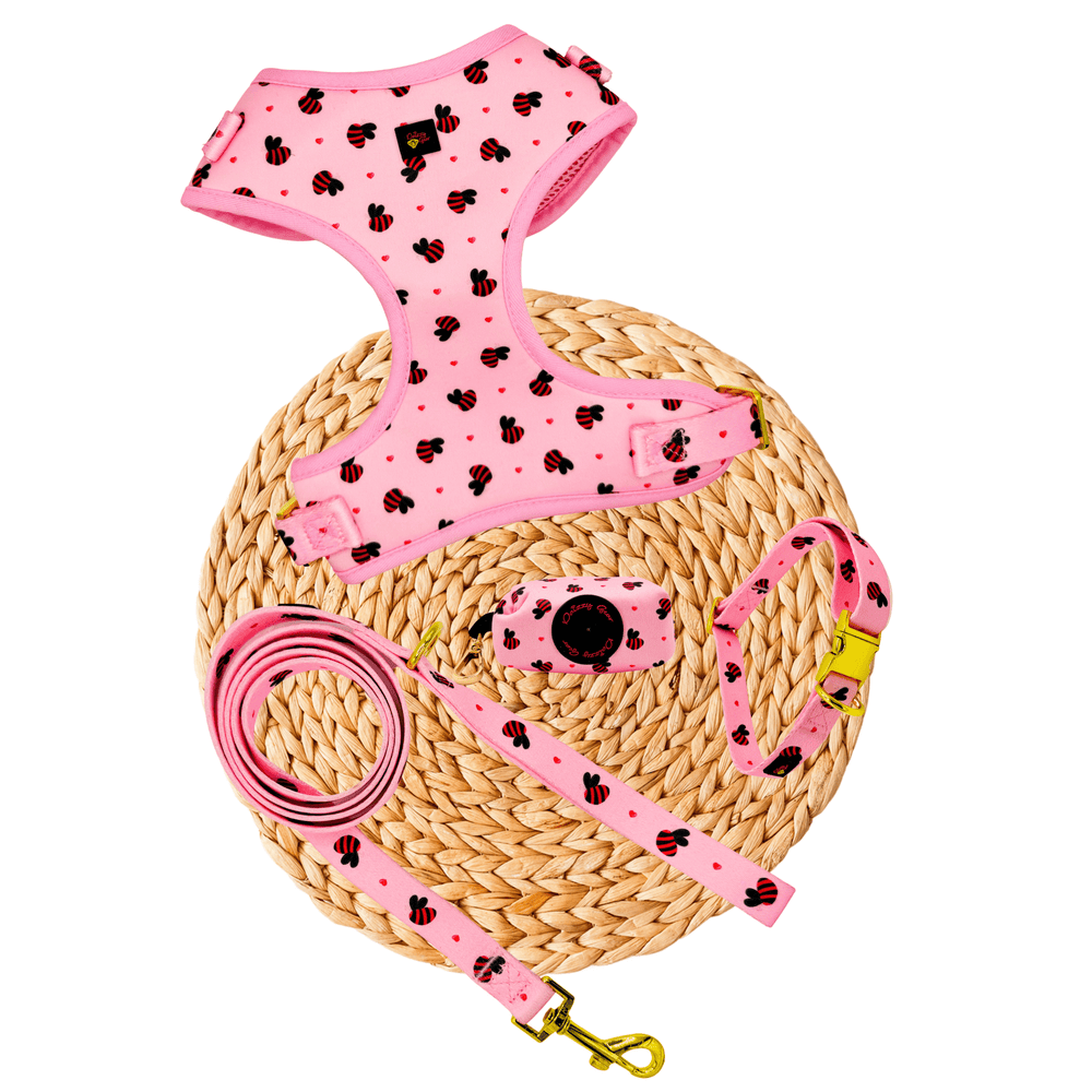 Pink Bees Dog Harness Matching Walking Set - Daizzy Gear - Stylish Accessories for Dogs