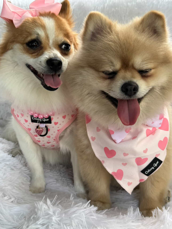 Pink Blushing Love Dog Harness Matching Walking Set with Rope Leash - Daizzy Gear - Stylish Accessories for Dogs